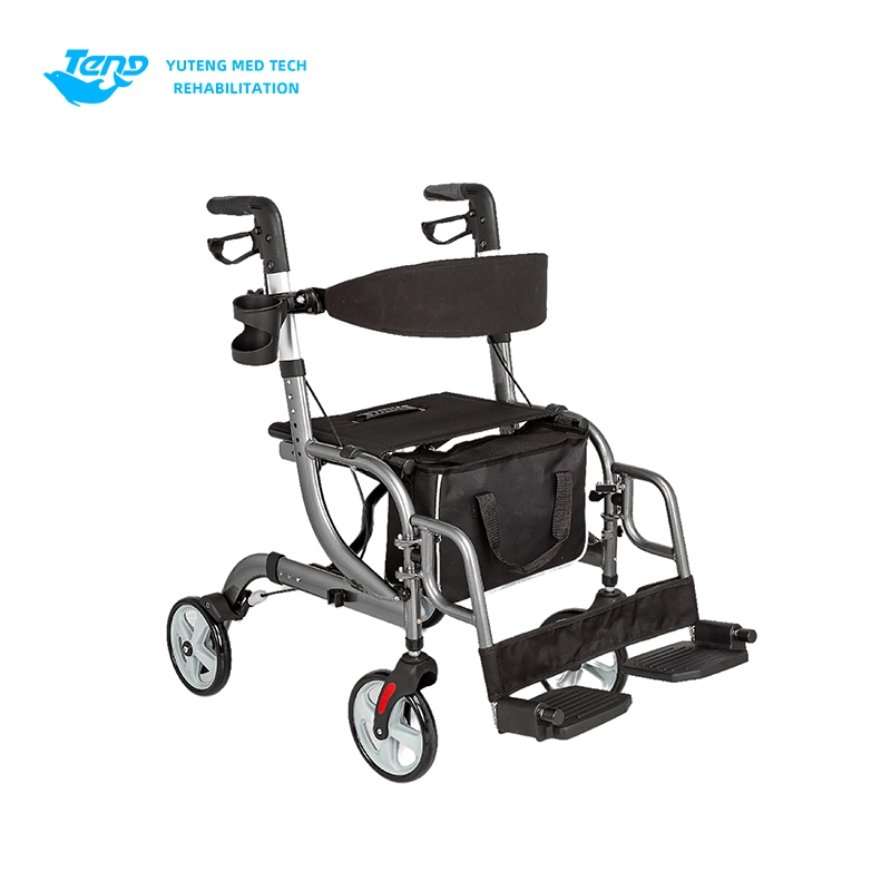 Ältere Einkaufsrollator
