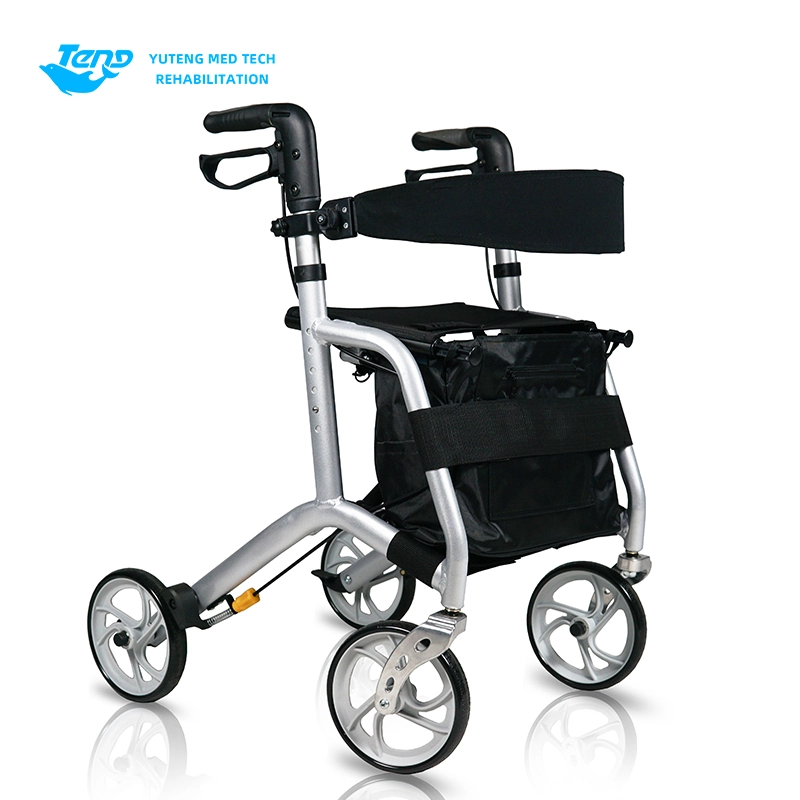 Rollator für Roller